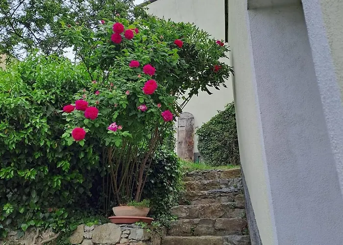 La Casa Gialla, Con Splendido Terrazzo Borgio Verezzi